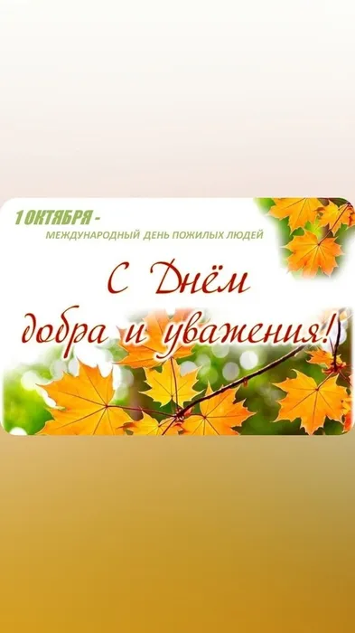 MVoT8Gnld4c