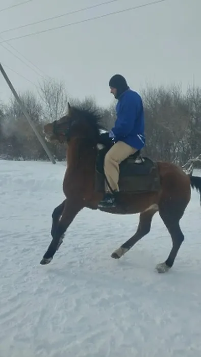 BF2oJslZShz0Hcsu9RhMoj13yx8uH99j4WYWne9tJkld7na0vcAhHt6-dYUOd2Y_ijKHilaE5vzfO-syvj6UdtNw