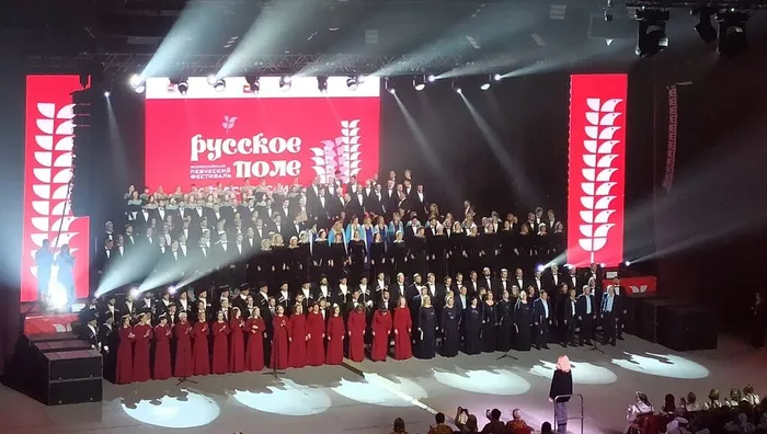 yP1iHUYkFU8